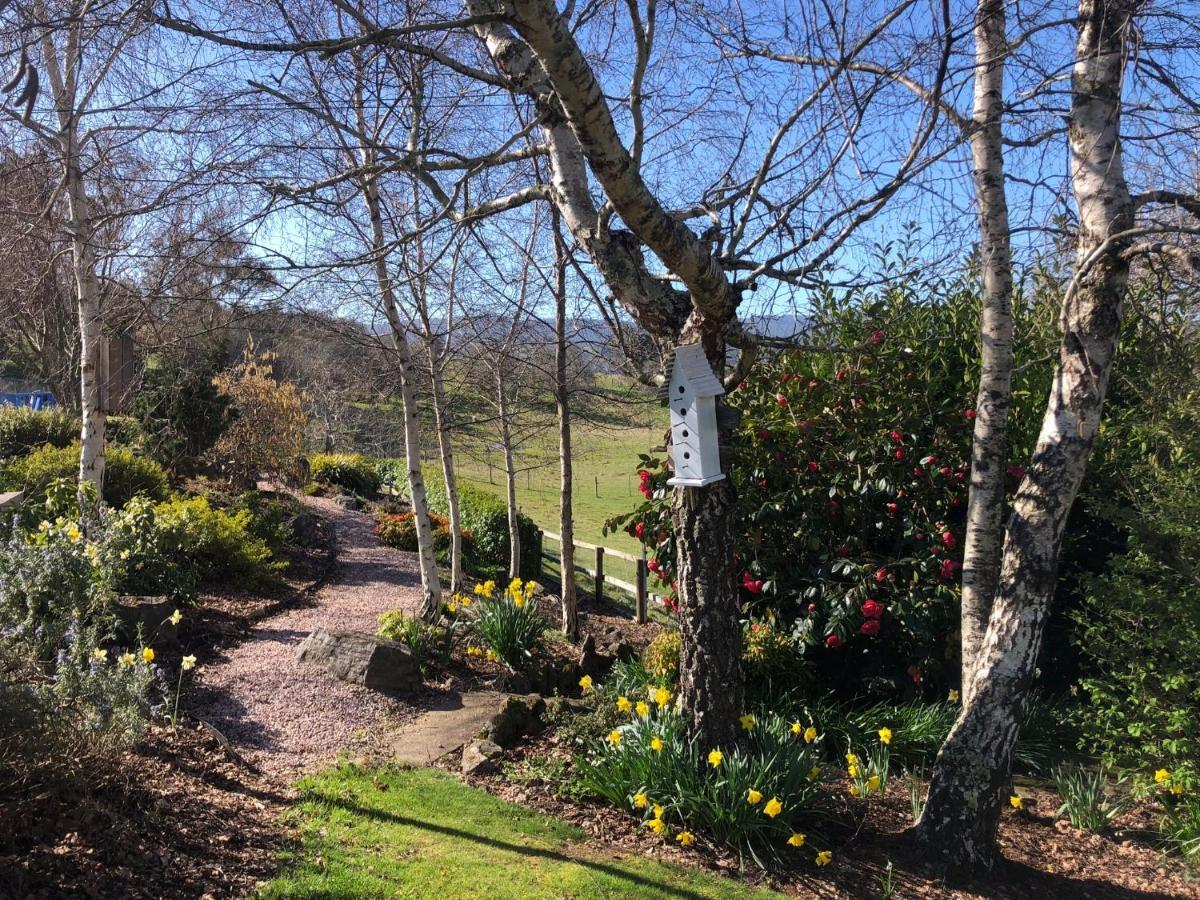 Mole Creek Hideaway Hotel Eksteriør billede