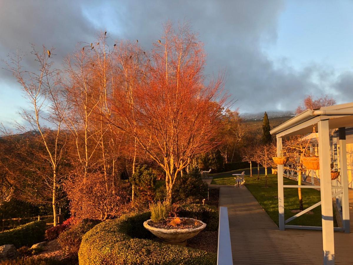 Mole Creek Hideaway Hotel Eksteriør billede