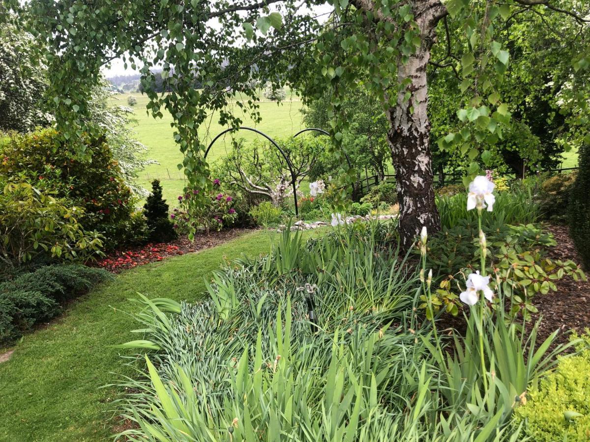 Mole Creek Hideaway Hotel Eksteriør billede